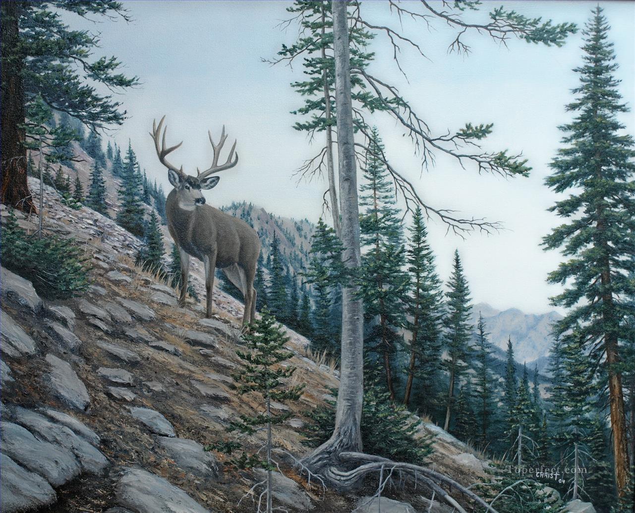 High Country Muley Oil Paintings